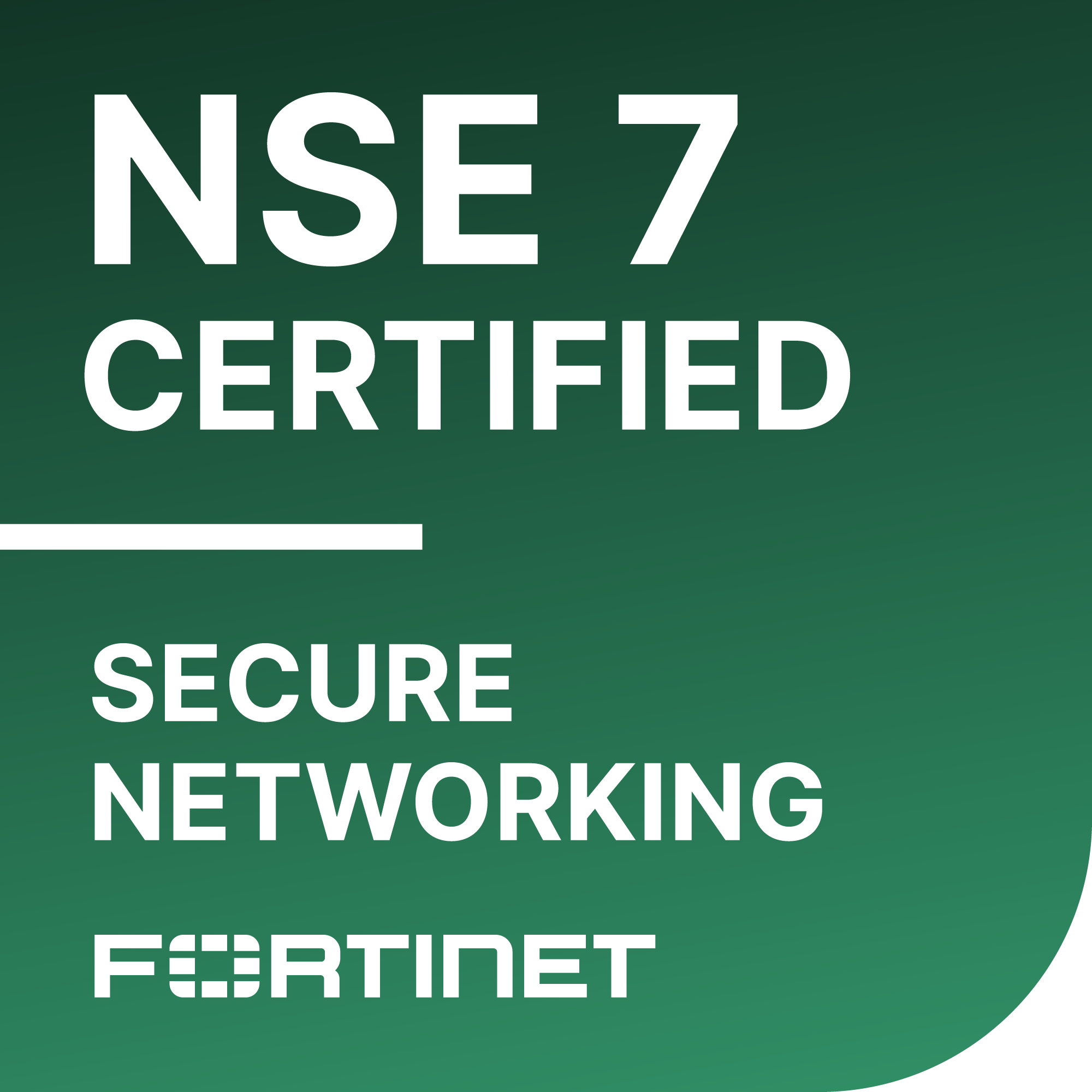 NSE 7